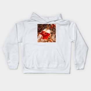 Fire and Ice Bittersweet Kids Hoodie